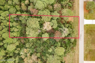 2000 Caracara, New Bern, NC 28560 - photo 4