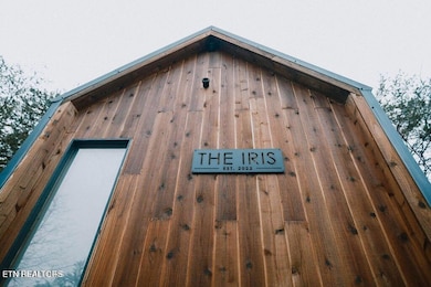 The Iris