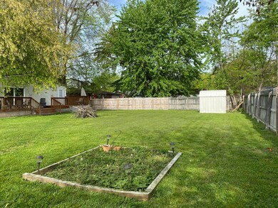 Back yard1
