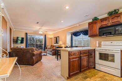 3WoodpeckerLaneDrUnit4Branson-3Kitchen(1