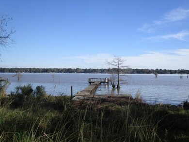 687 Flintside Dr, Cobb, GA 31735 - photo 2