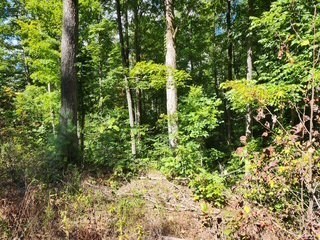 0 Tomahawk unit RTC2982329, Jamestown, TN 38556 - photo 6