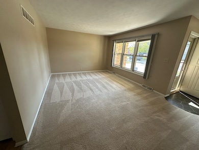 907 Carlisle Dr, Rochelle, IL 61068 - photo 4