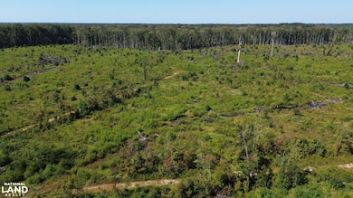 Tbd Highway 63, Ruffin, SC 29475 - photo 7