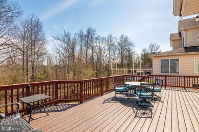 25304 Talent St, Chantilly, VA 20152 - photo 3