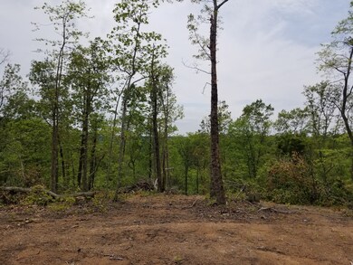 0 Hurricane Creek Rd unit 2153987, Linden, TN 37096 - photo 5