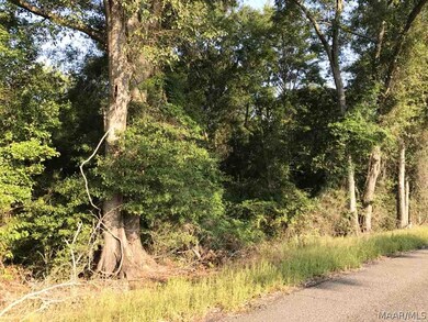 10.5 ACRES Willie Varnum Rd, Dothan, AL 36301 - photo 7