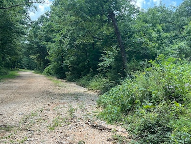 000 Foxfield Rd, Mammoth Spring, AR 72554 - photo 3