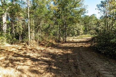 Parcel 3, Tylertown, MS 39667 - photo 7
