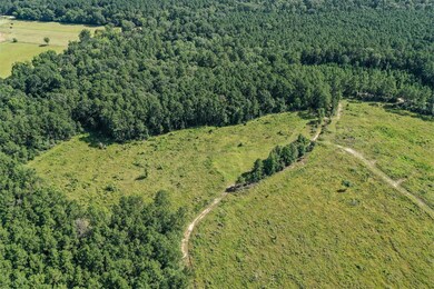 878 Joe Hudson Rd, Trinity, TX 75862 - photo 4