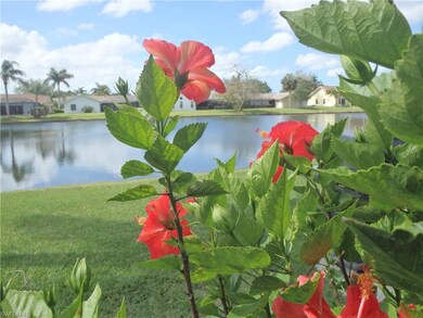 Hibiscus framing the long lake view.