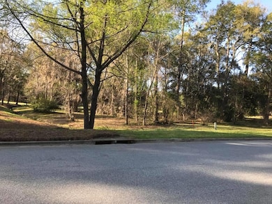 1819 River Pointe Dr, Albany, GA 31701 - photo 2