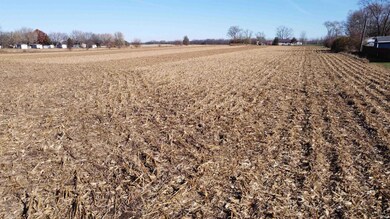 0ff W Cr 550 S Rd, Daleville, IN 47334 - photo 7