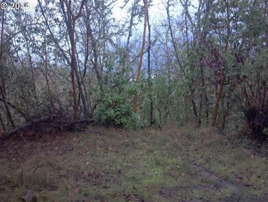 0 Sky Way, Grants Pass, OR 97527 - photo 3