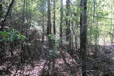 24994 7th St, Ardmore, AL 35739 - photo 5