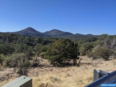 4775 N Swan St, Silver City, NM 88061 - photo 6