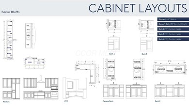 Cabinet Layouts