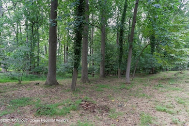 8 Deer Path, Holmdel, NJ 07733 - photo 5