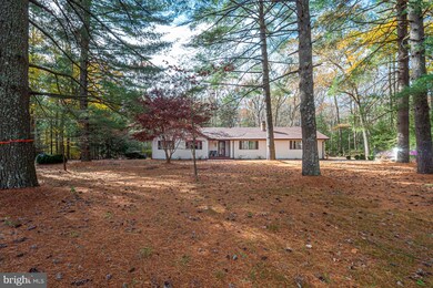 22546 Deep Branch Rd, Georgetown, DE 19947 - photo 4