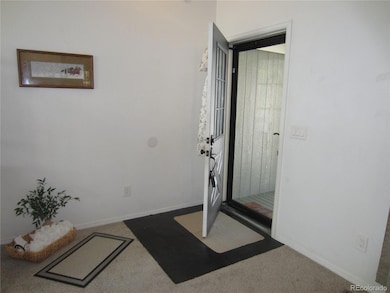 3006 W 127th Ave, Broomfield, CO 80020 - photo 3