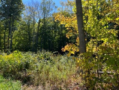 833 Township Road 754, Ashland, OH 44805 - photo 2