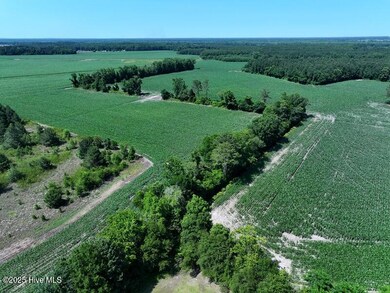 DJI_20250604162943_0546_D