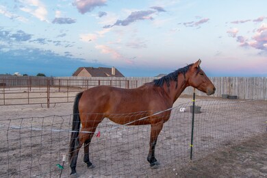 148 Blue Ridge Dr, Weatherford, TX 76088 - photo 3