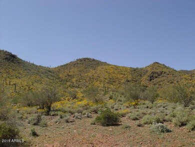 Natural Desert Landscaping