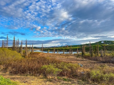000 9 7 Acres, Trapper Creek, AK 99683 - photo 5