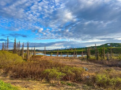 TBD High Mountain, Trapper Creek, AK 99683 - photo 5