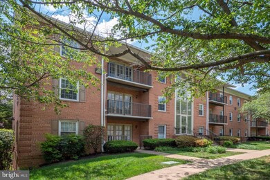 3336 Spring Ln unit A30, Baileys Crossroads, VA 22041 - photo 6