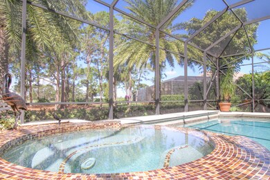 Pool & Spa
