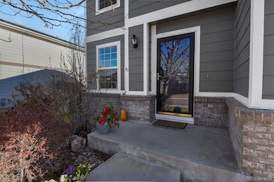 6336 Millbridge Ave, Castle Rock, CO 80104 - photo 4