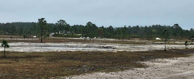 49015 Bermont Rd, Punta Gorda, FL 33982 - photo 2