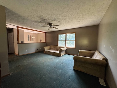 2189 Chub Run Rd, Mount Clare, WV 26408 - photo 4