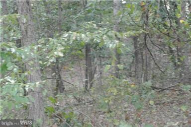 0 Rockcliff Dr unit 1000323744, Berkeley Springs, WV 25411 - photo 2