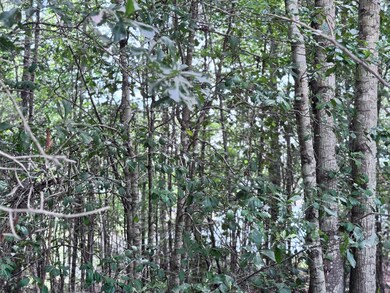 00 Abby Ln, Lumberton, MS 39455 - photo 5