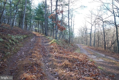 Lot 70 & 71 Mill Mountain Rd, Romney, WV 26757 - photo 2