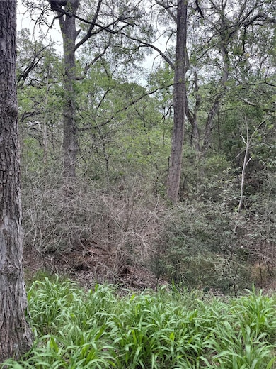 Lot 1035 Kawanui Dr, Bastrop, TX 78602 - photo 6