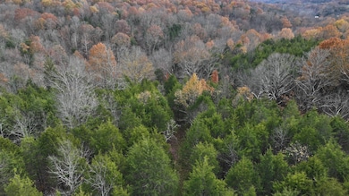 DJI_20251111124903_0003_D