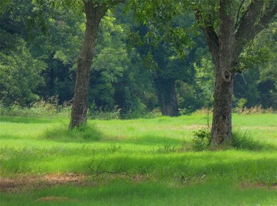 1395 County Road 2461 unit 2, Alvord, TX 76225 - photo 6