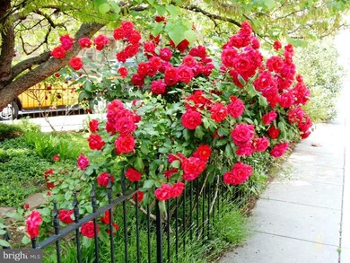 1732 21st St NW, Washington, DC 20009 - photo 7