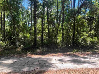 0 Owl Ln unit 378192, Wakulla, FL 32327 - photo 3