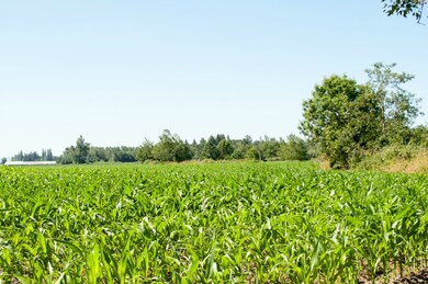 0 Clearbrook Rd, Sumas, WA 98295 - photo 2