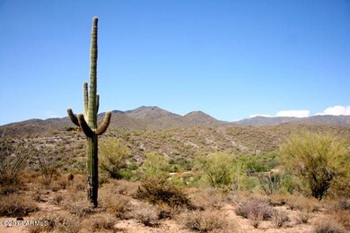 Views of Continental Mountain