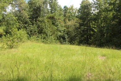 437 Billstown Rd, Delight, AR 71940 - photo 6