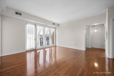 50 S Grove Ave unit 301, Elgin, IL 60120 - photo 4