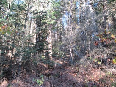 0 Whitefield Rd, Dalton, NH 03598 - photo 5