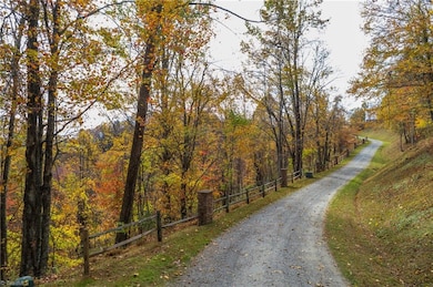 TBD 1 Mayito Ln, Mouth of Wilson, VA 24363 - photo 3