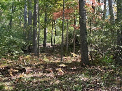 8601 N Island Dr unit 41, Canadian Lakes, MI 49346 - photo 5